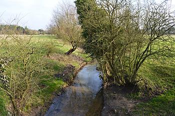 Clipstone Brook at Goose Green February 2013